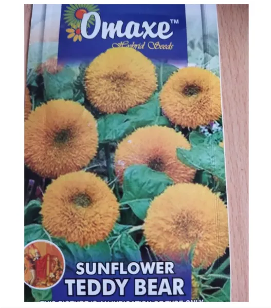 Omaxe Sunflower Teddy Bear Flower Seeds- 50 Seeds